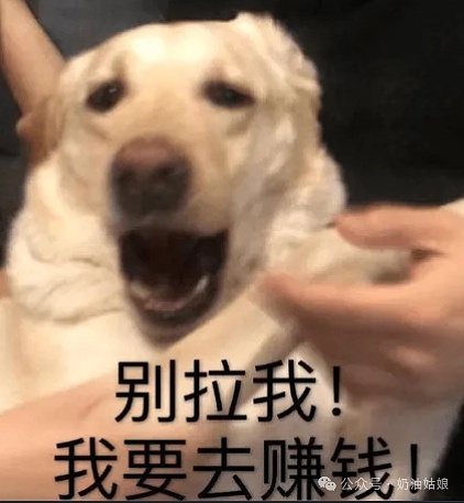 当AI遇上加密世界：一场颠覆性的技术联姻