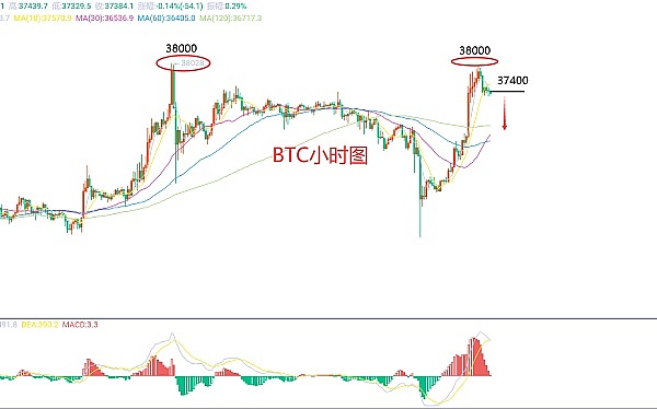 比特币Ordinals生态：热潮退去后的真实发展图景