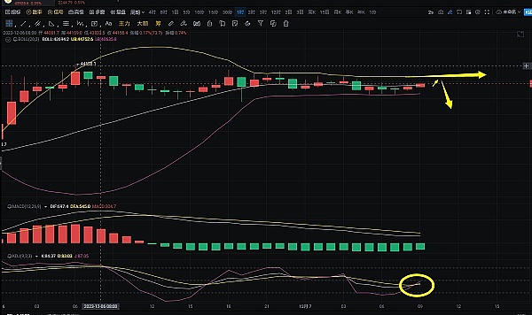BRC20：比特币链上的淘金热，一场高风险高回报的游戏