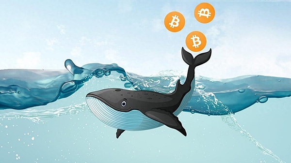 Vitalik Buterin的深度剖析：以太坊扩容之路上的四大拦路虎